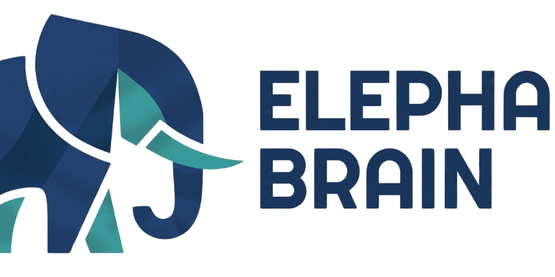 ELEPHANT BRAIN
